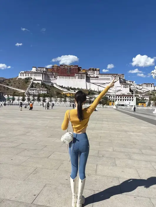 公开图片